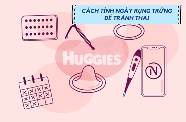 Cách tính ngày rụng trứng bằng siêu âm soi trứng