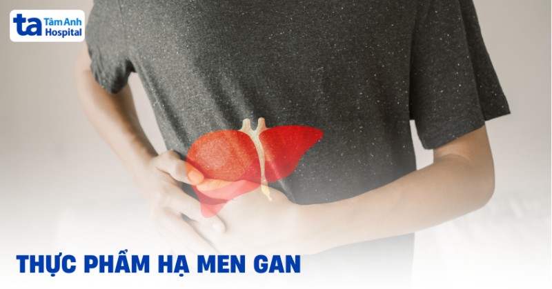 thực phẩm hạ men gan