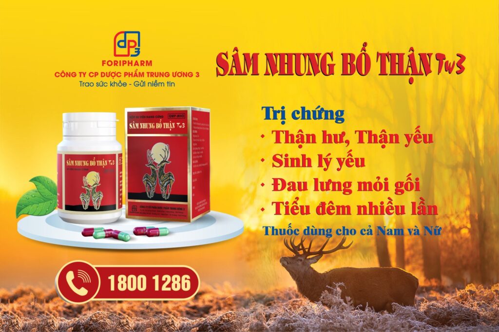 Sâm nhung bổ thận TW3 trị chứng thận hư thận yếu