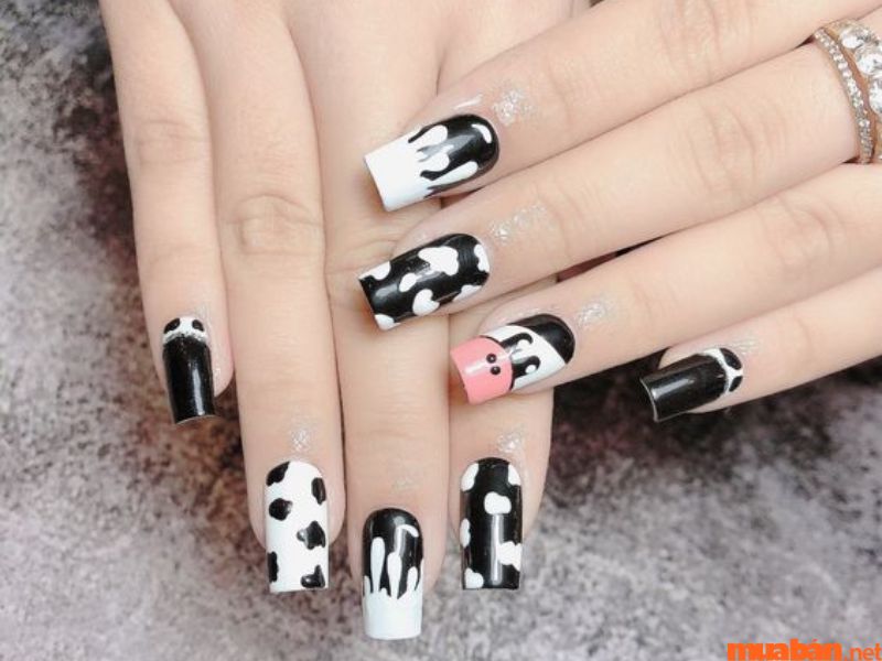 Mẫu nail trắng đen họa tiết bò sữa sang chảnh