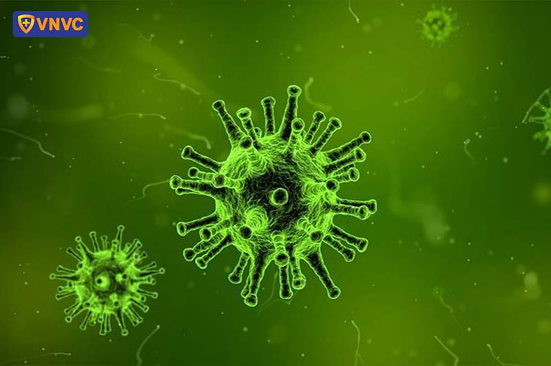 virus gây ung thư vòm họng