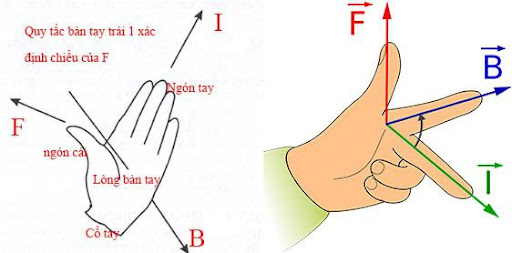 quy-tac-ban-tay-trai-4