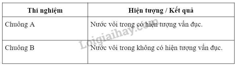 Bài 27. Thực hành: Hô hấp tế bào ở thực vật trang 116, 117 Khoa học tự nhiên 7 - Kết nối tri thức