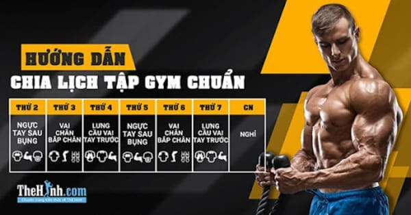 Hướng dẫn tập gym đúng cách cho nam lần đầu tập.