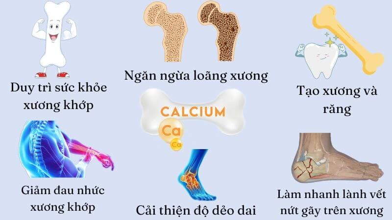 6 tác dụng chính của canxi đối với xương khớp