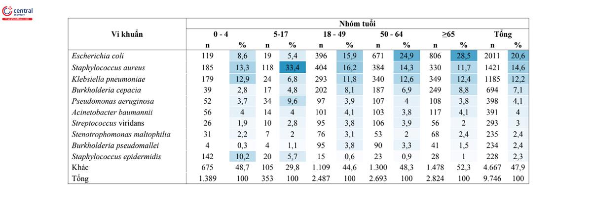 Bảng 12. Mười loài vi khuẩn thường được phân lập nhất từ mẫu bệnh phẩm máu từ 16 bệnh viện theo nhóm tuổi (n = 9.746)