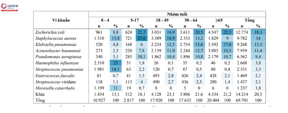 Bảng 13. Mười loài vi khuẩn thường được phân lập nhất từ tất cả các mẫu bệnh phẩm theo nhóm tuổi, (n = 69.701)