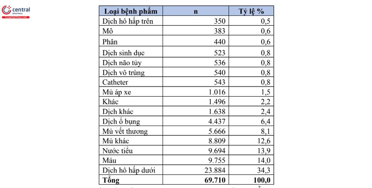 Bảng 3. Số lượng và phần trăm của các chủng phân lập theo loại mẫu bệnh phẩm (n = 69.710)