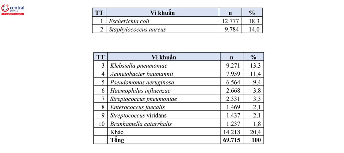 Bảng 4. Tỷ lệ % của 10 loài vi khuẩn gây bệnh thường gặp nhất (n=69.715)