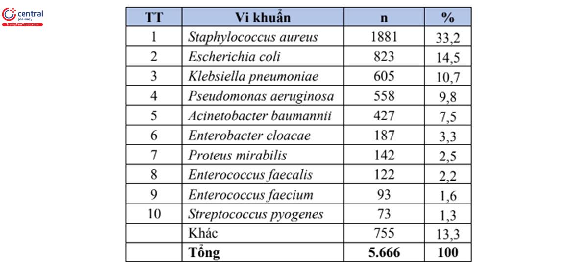 Bảng 8. Tỷ lệ % của 10 loài vi khuẩn gây bệnh thường gặp nhất trong bệnh phẩm mủ (n=5.666) 