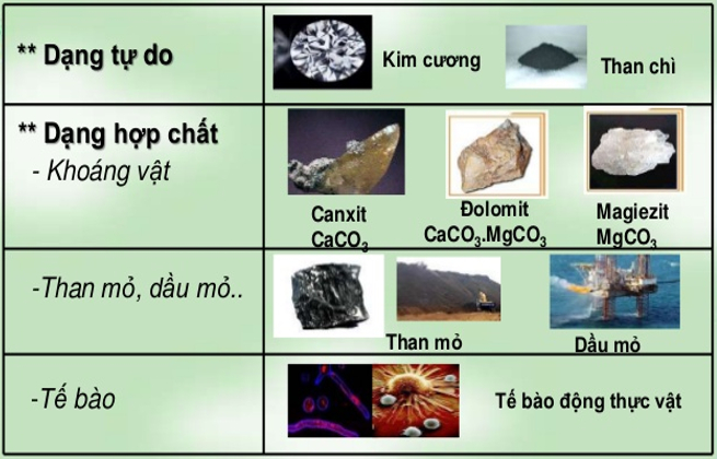 trạng thái tự nhiên của cacbon - lý thuyết cacbon