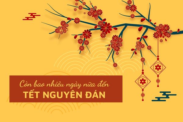 Đếm ngược còn bao nhiêu ngày nữa đến giao thừa năm Quý Mão