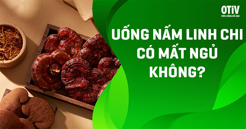 uống nấm linh chi có gây mất ngủ không