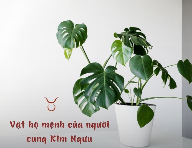 Vật hộ mệnh cung Kim Ngưu