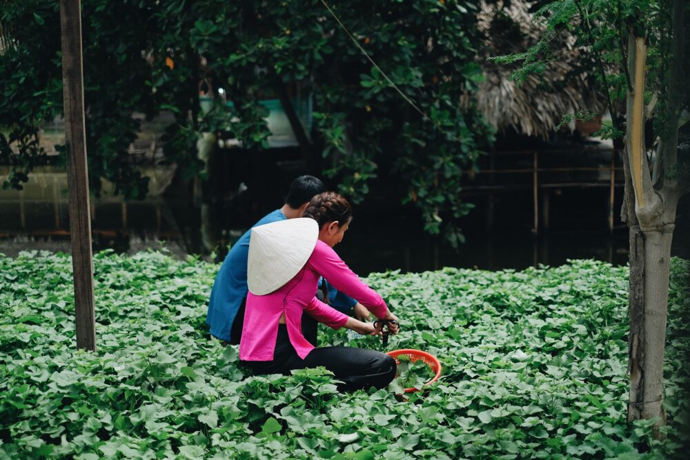 trai-nghiem-5ku-farm