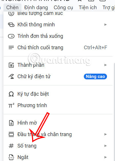 Kiểu đánh số trang Docs