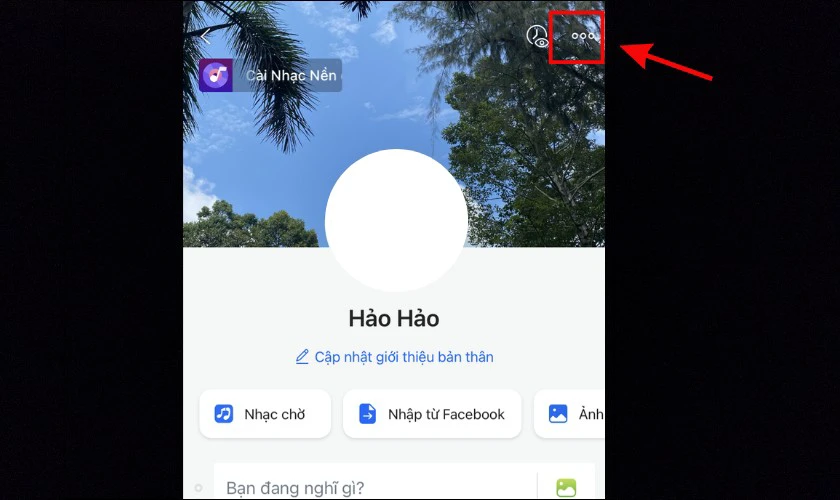 Chọn biểu tượng Ba chấm trong giao diện trang cá nhân