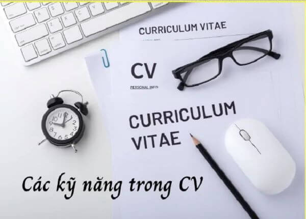 Phân loại các kỹ năng trong cv