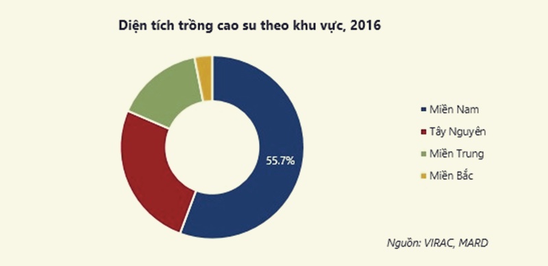 Diện tích trồng cây cao su tại Tây Nguyên