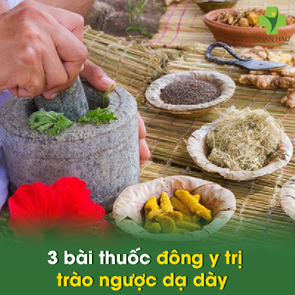 3 bài thuốc đông y trị trào ngược dạ dày