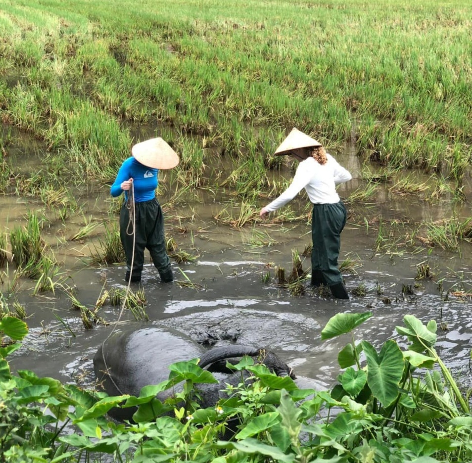 Khách Tây thích thú lội ruộng, massage cho trâu và úp nơm bắt cá ở Việt Nam - 5