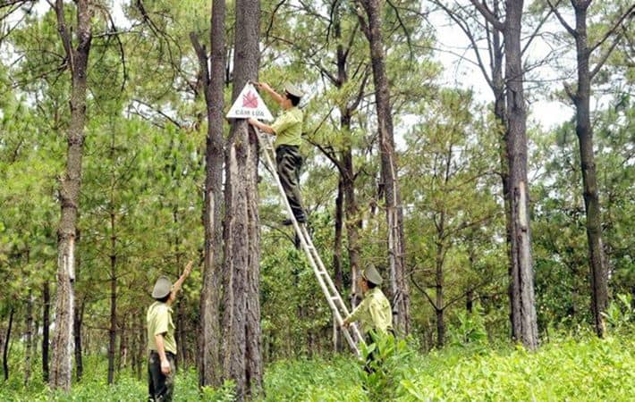 Khu du lịch Rừng Chàng Riệc (Ảnh: ST)