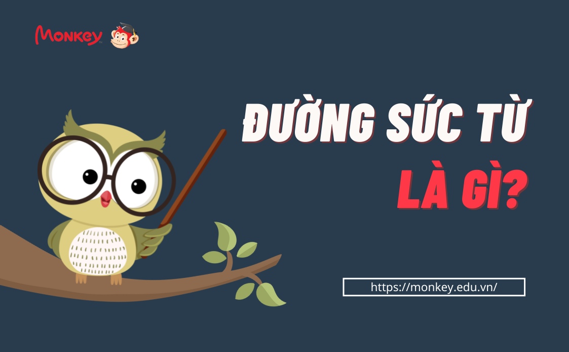 Đường sức từ là gì. (Ảnh: Monkey)