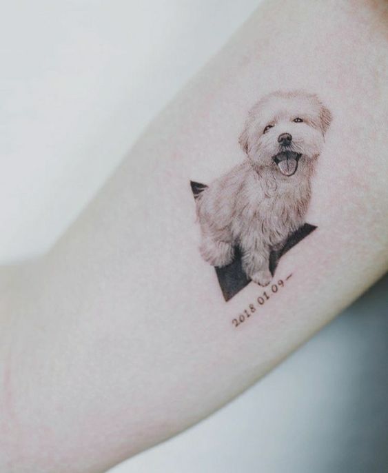 tattoo hình con chó mini Poodle tinh nghịch