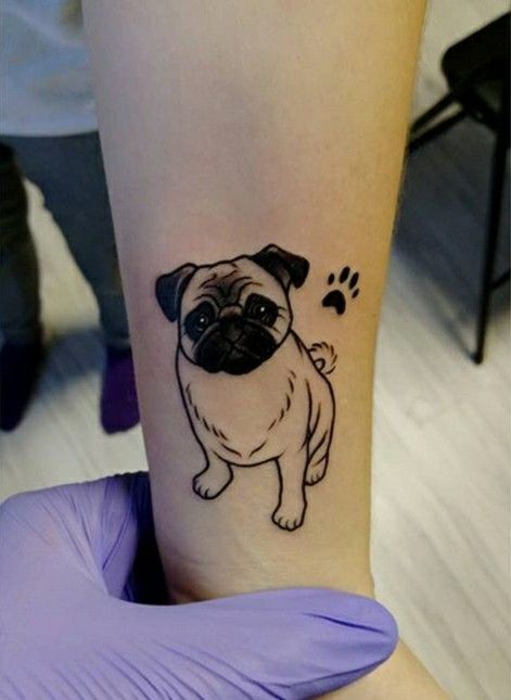 tattoo mẫu con chó Pug kèm dấu chân size mini