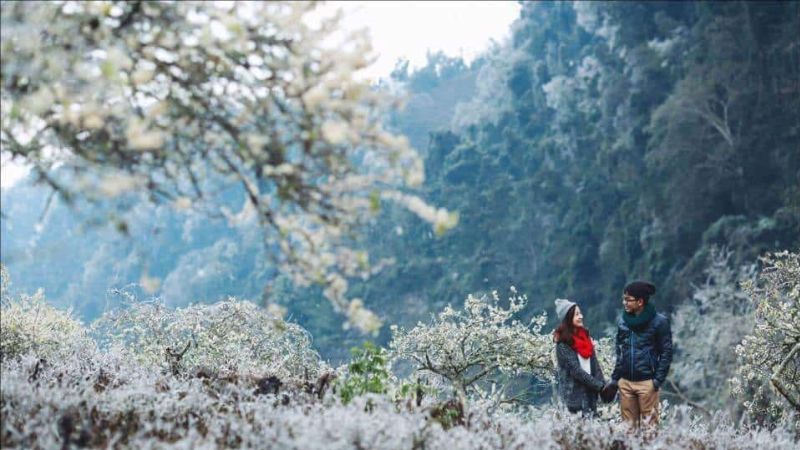 oa ban trắng tượng trưng cho tình yêu