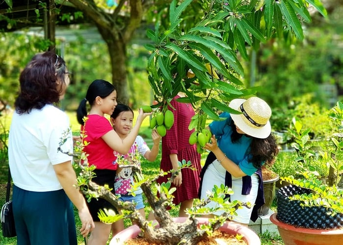 Cảnh quê được bài bố rất nhiều bên trong quán - ảnh 2