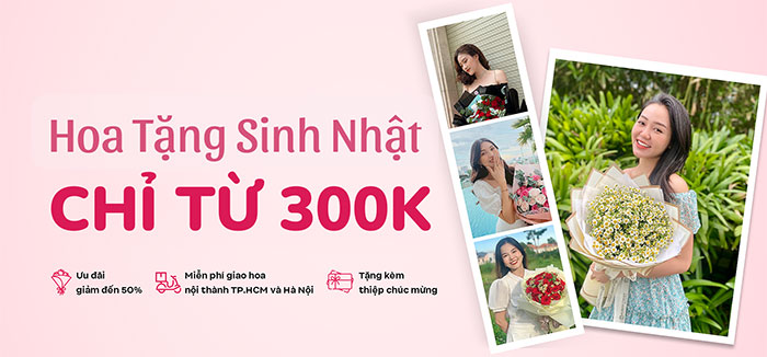 hoa sinh nhật đẹp chỉ từ 300k