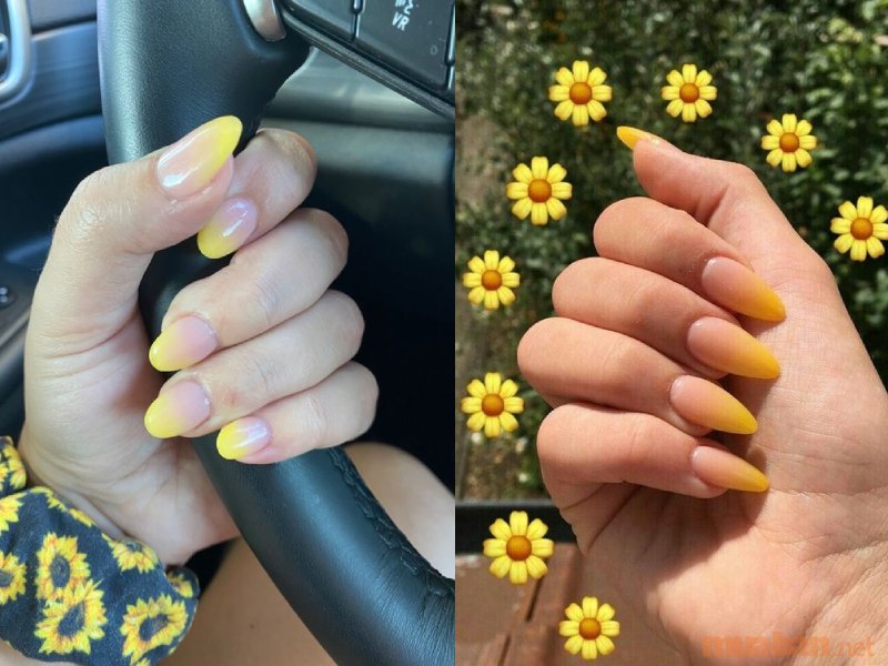 Mẫu nail ombre màu vàng kết hợp cùng tone màu nude