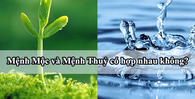 menh-thuy-hop-mau-gi-25