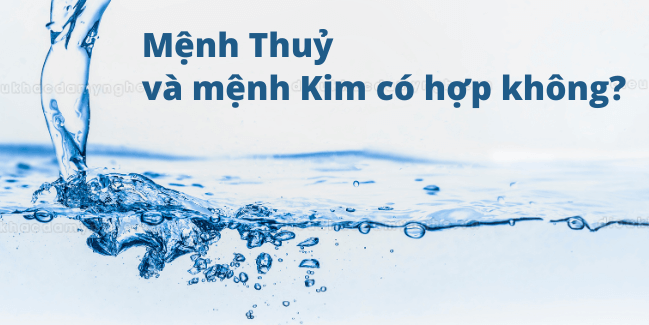 menh-thuy-hop-mau-gi-23