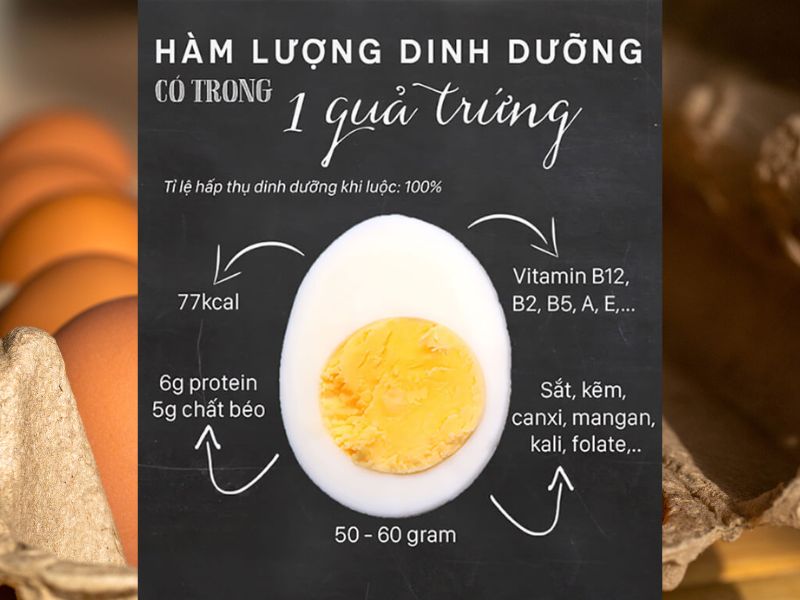 Những giá trị dinh dưỡng trong quả trứng gà