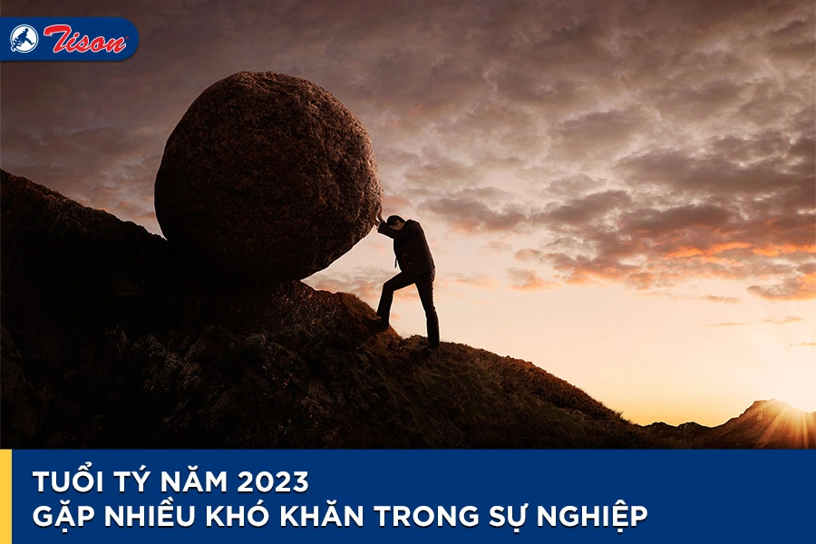 Phong thủy cho người tuổi Tý năm 2023