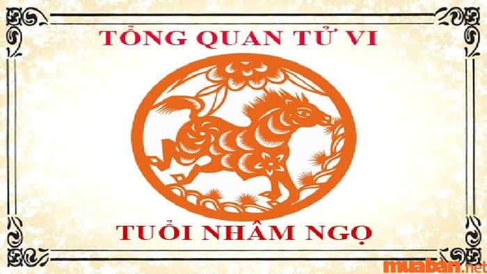 Tìm hiểu về tử vi nam sinh năm 2002 và chọn vợ tuổi gì hợp với nam Nhâm Ngọ.