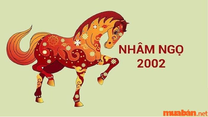 Nam sinh năm 2002 nên chọn vợ tuổi gì để tương hợp?