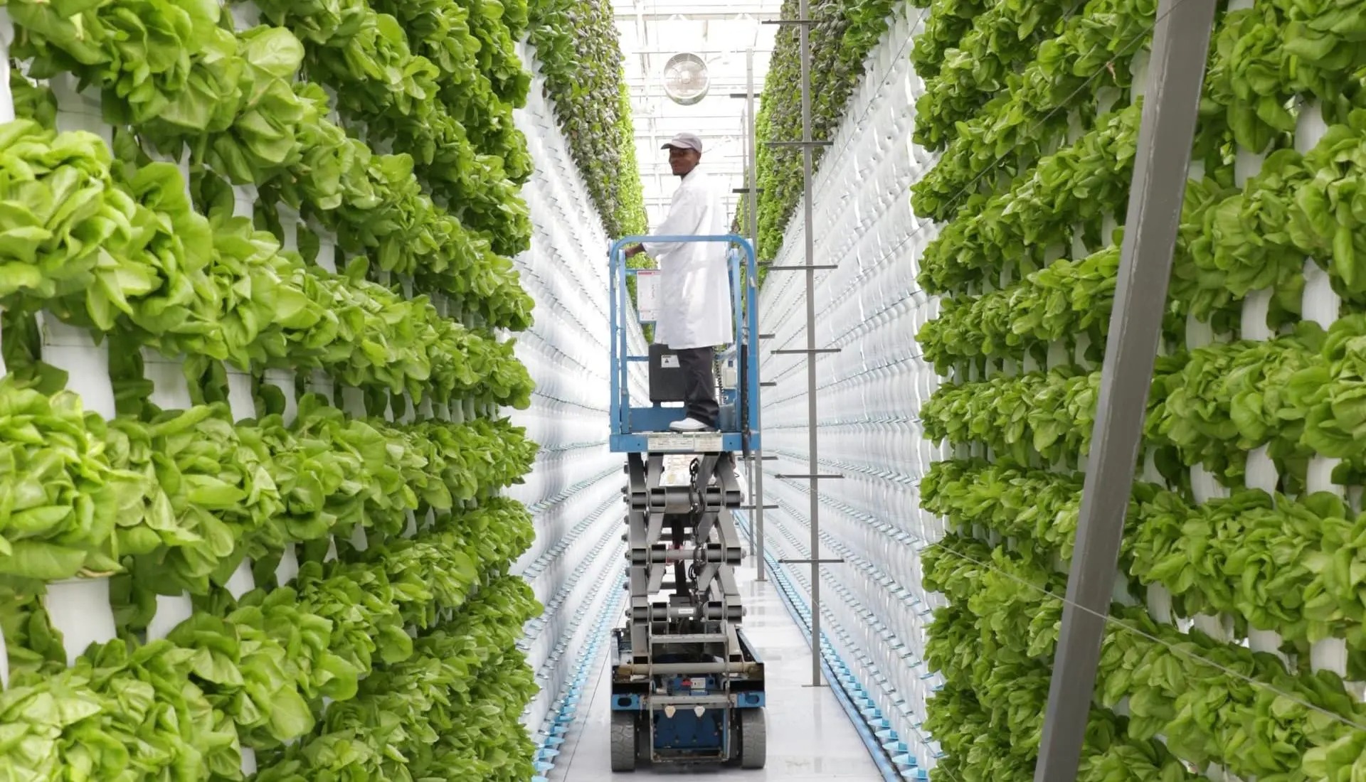 Vertical farming