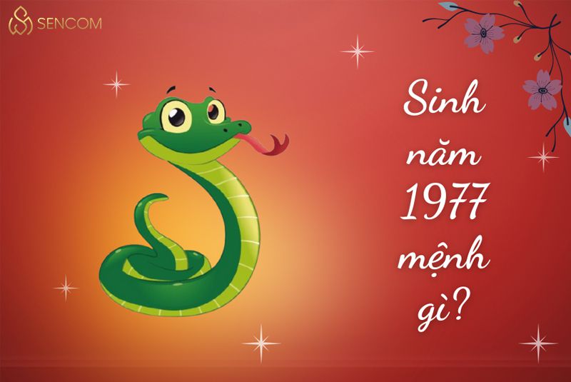 Chắc hẳn bạn đang thắc mắc sinh năm 1977 mệnh gì , tuổi con gì, hợp với hướng nào, màu gì, tuổi nào, số gì? Để có thể có được những may mắn trong cuộc sống...