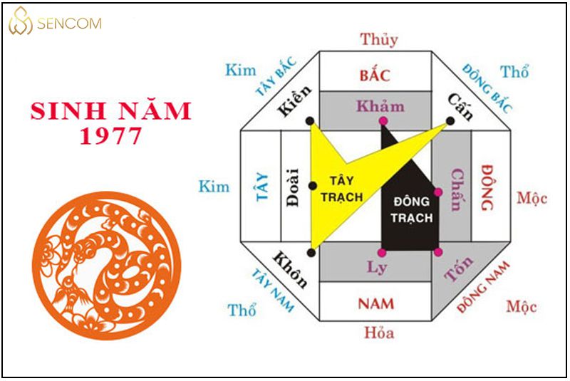 Chắc hẳn bạn đang thắc mắc sinh năm 1977 mệnh gì , tuổi con gì, hợp với hướng nào, màu gì, tuổi nào, số gì? Để có thể có được những may mắn trong cuộc sống...