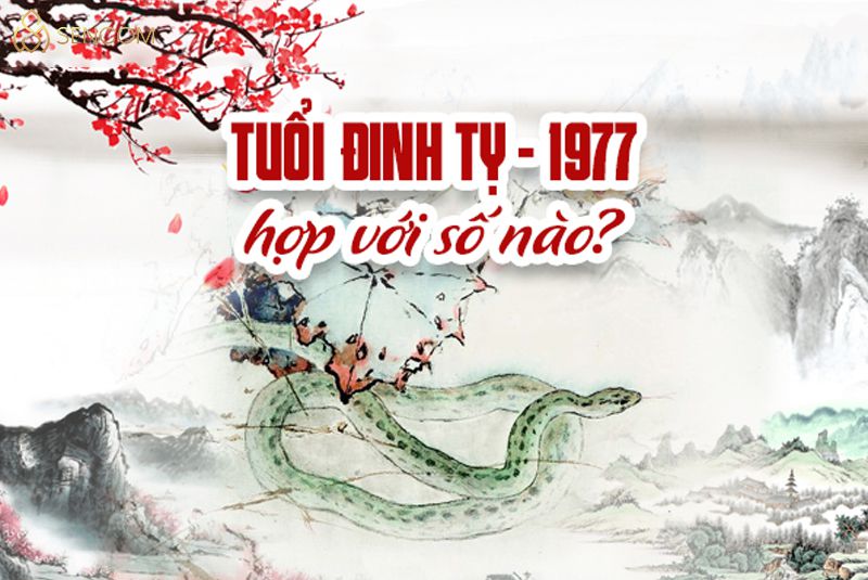 Chắc hẳn bạn đang thắc mắc sinh năm 1977 mệnh gì , tuổi con gì, hợp với hướng nào, màu gì, tuổi nào, số gì? Để có thể có được những may mắn trong cuộc sống...