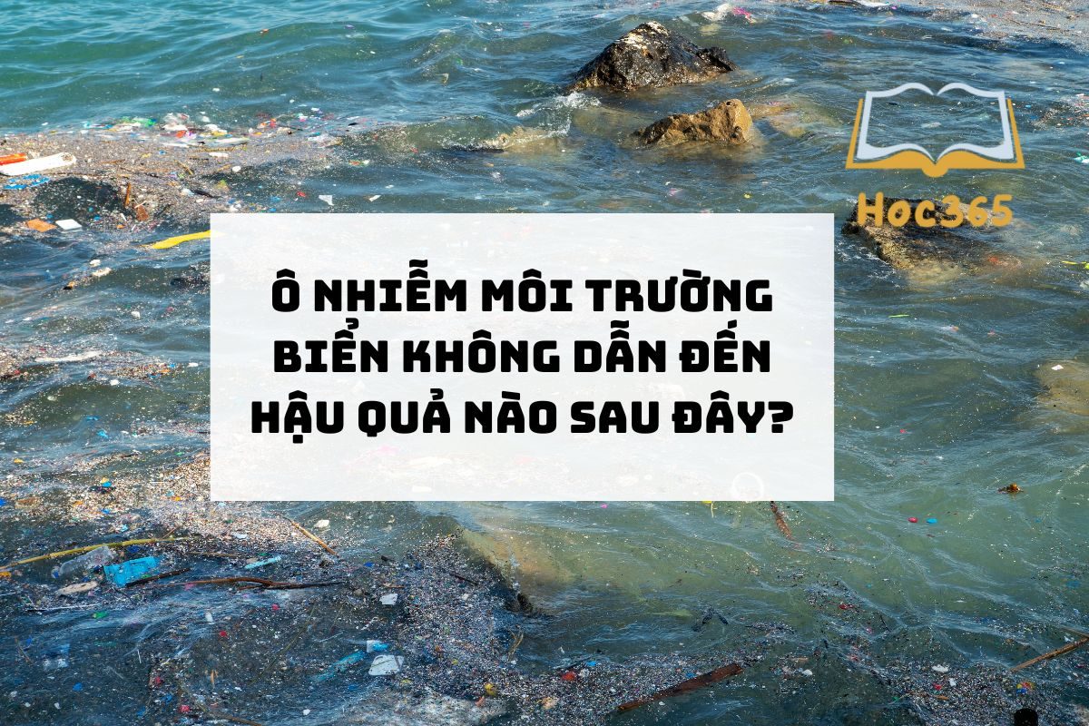 ô nhiễm môi trường biển không dẫn đến hậu quả