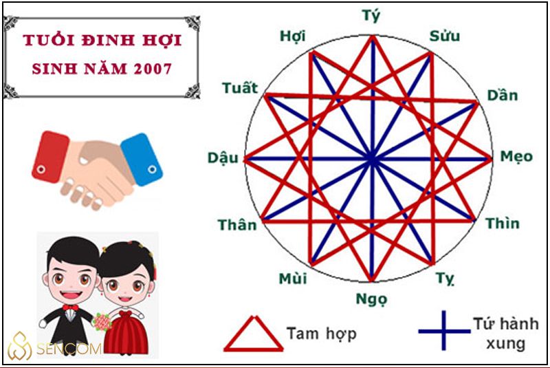 Để hiểu rõ hơn về vận mệnh cũng như tổng quan tử vi của những người sinh năm 2007 mệnh gì , hợp tuổi nào, mệnh nào thì hãy cùng Sencom tìm hiểu ngay trong...