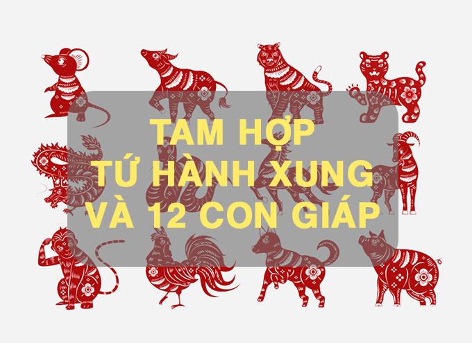 tam hop tu hanh cung và 12 con giap