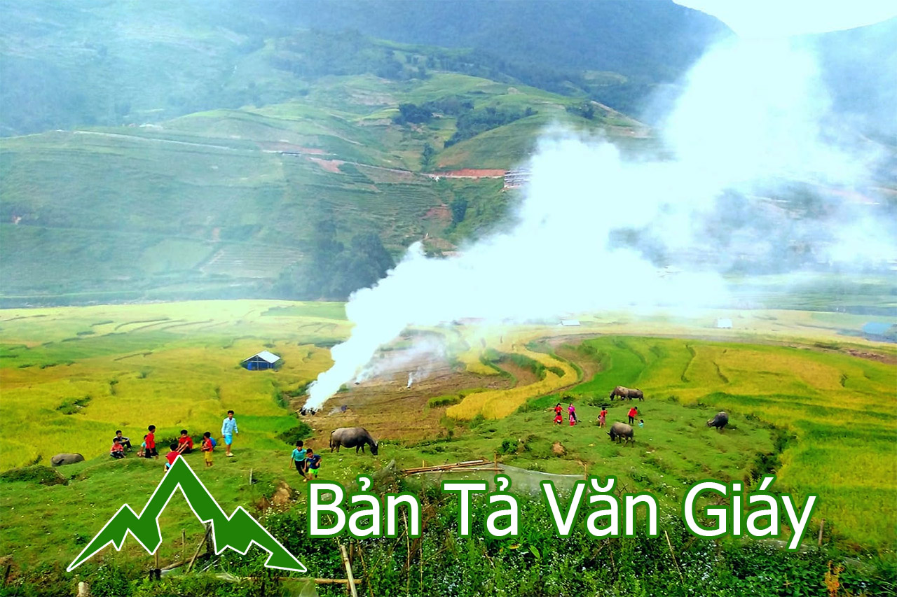 ban ta van giay sapa