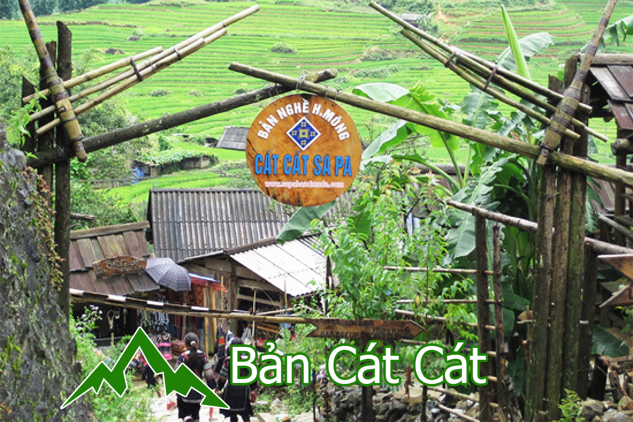 ban cat cat sapa