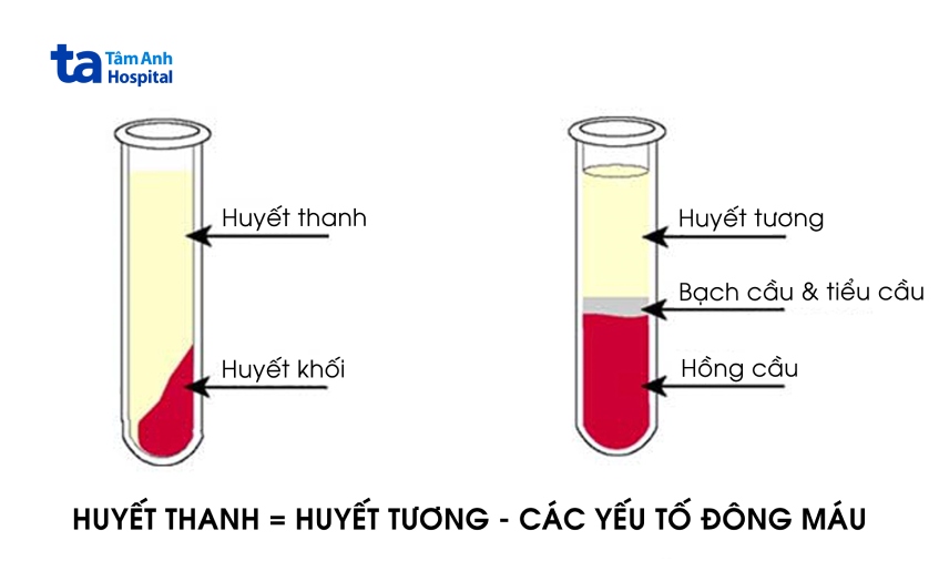 đặc điểm nhận dạng huyết thanh