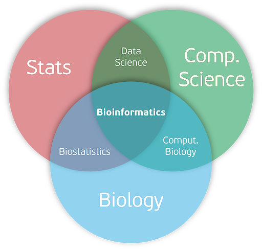 Samuel, Johnson. (2020). Re: What are the differences between Bioinformatics and Computational Biology ? . Retrieved from: https://www.researchgate.net/post/What_are_the_differences_between_Bioinformatics_and_Computational_Biology/5f51aad578613d7eea78eadc/citation/download.